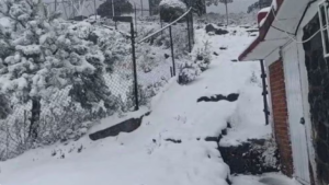 Cierran el Ajusco por nieve en plena primavera: autoridades activan medidas de seguridad
