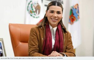 El abogado de Marina del Pilar: una defensa que no parece de simple visa