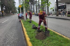 Recupera Gobierno municipal Paseo Colón en favor de la movilidad y seguridad de los habitantes deToluca
