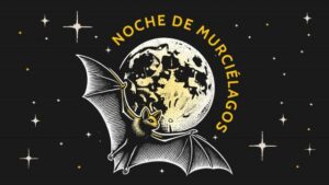 Regresa la Noche de Murciélagos: fecha, sede y cómo participar