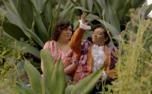 Festival Cine al Margen 2026: dónde ver gratis cine mexicano independiente en CDMX y en línea