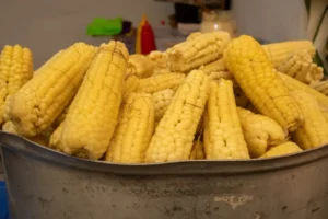 La Feria Nacional del Elote 2026 llega a Topilejo: esquites con tuétano, garnachas y música para celebrar las fiestas patrias