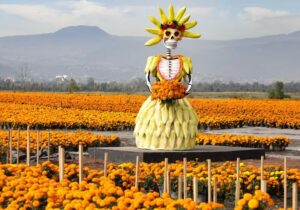 ¡Xochimilco se pinta de naranja! Así será la Ruta del Cempasúchil 2026