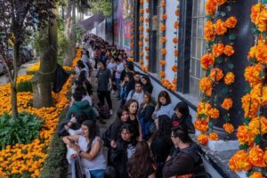 Se viste Toluca de amarillo y se llena del olor de la tradición con 18 mil macetas de cempasúchil